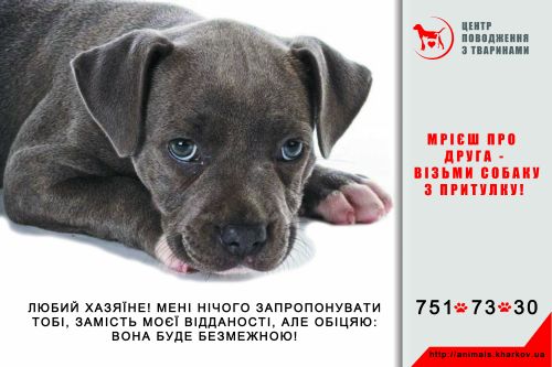 Харьковский приют для собак и кошек